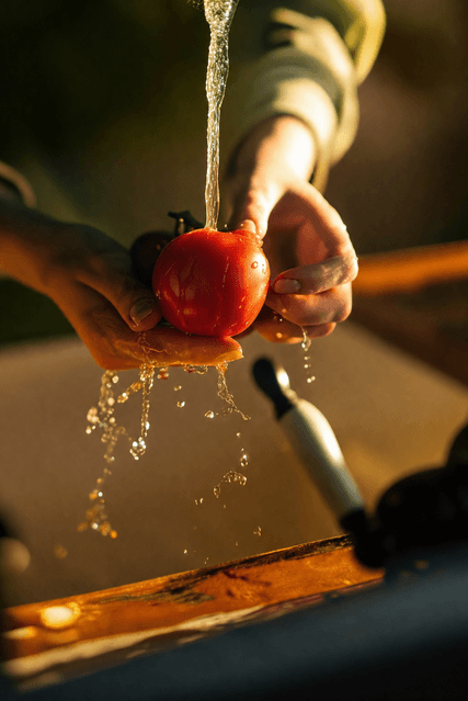 Hände waschen eine frische Tomate im goldenen Abendlicht